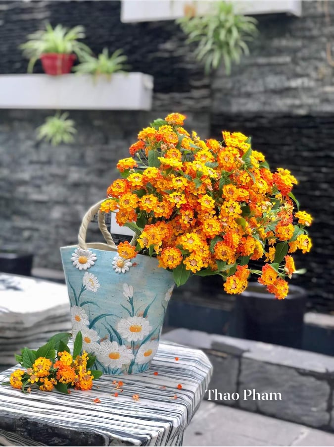 Tử vi hàng ngày - Thứ Bảy 11/2/2023 của 12 cung hoàng đạo